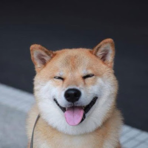 Meet your Posher, Rachael - Picture 1 of 1